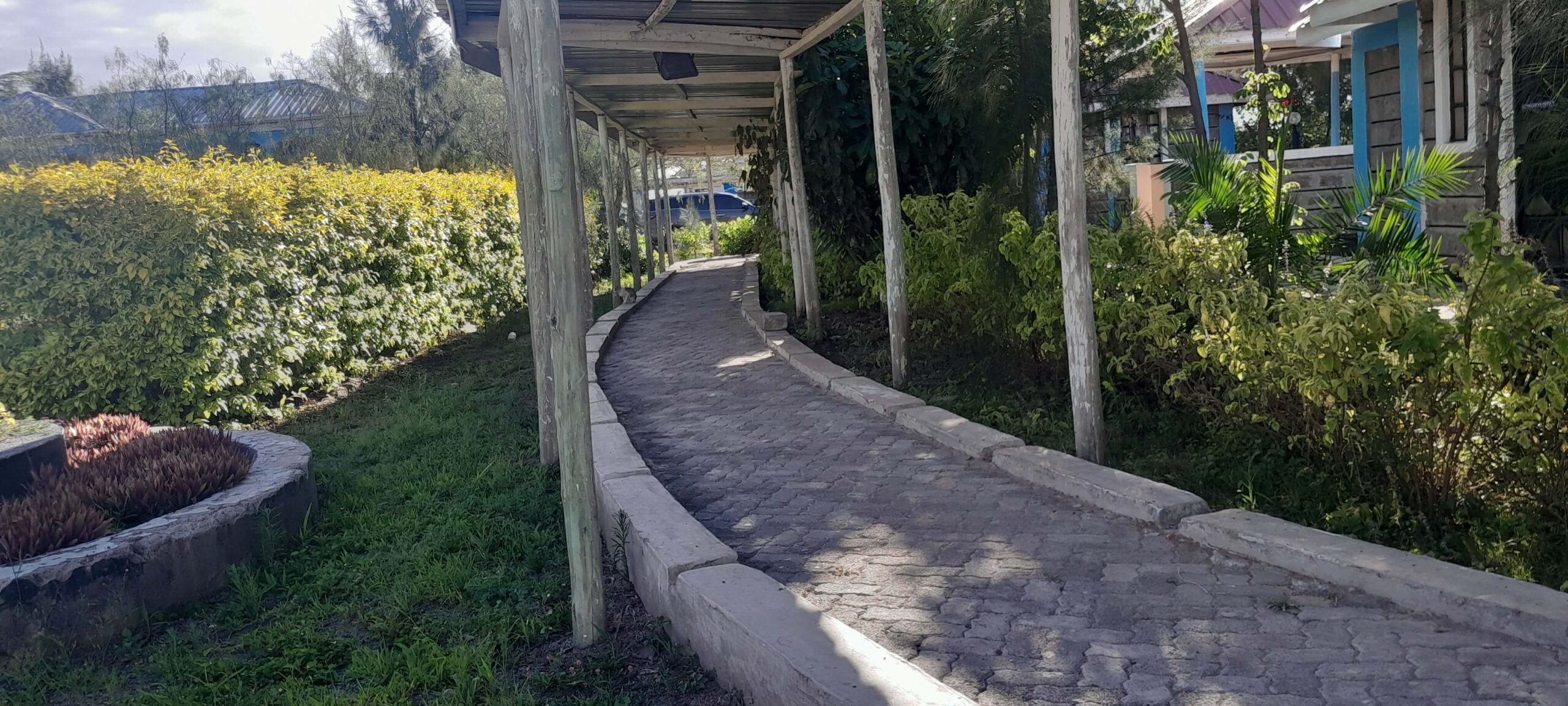 Wilkista College Environment