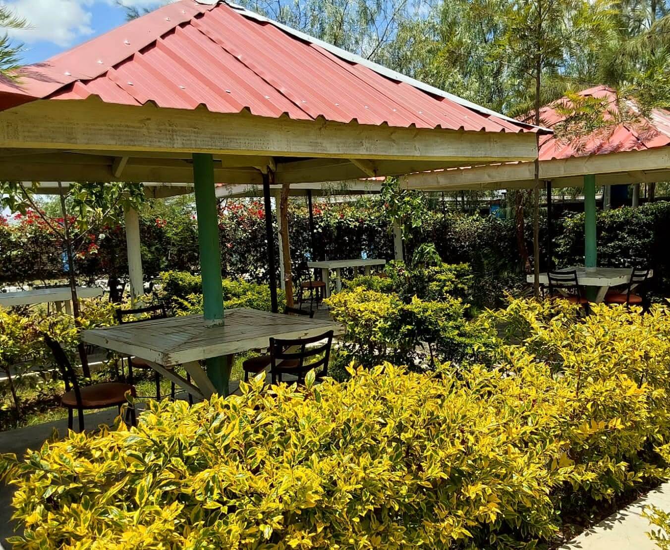 Wilkista College Resting (1)